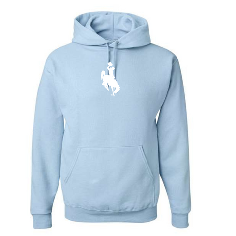 Spring Fling Light Blue Steamboat Hoodie