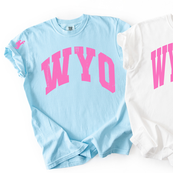 Chambray/Distressed Pink Wyo with Sleeve Detail