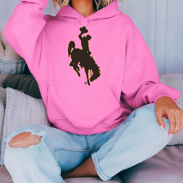 Azalea/ Jumbo B&G Steamboat Hoodie