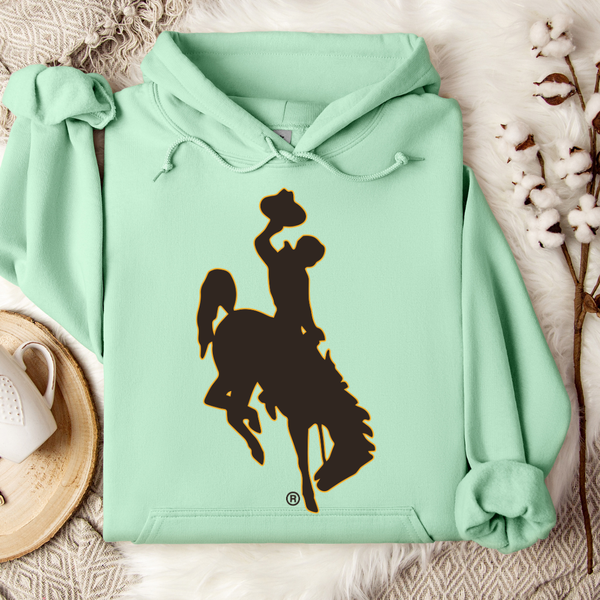 Mint/ Jumbo B&G Steamboat Hoodie