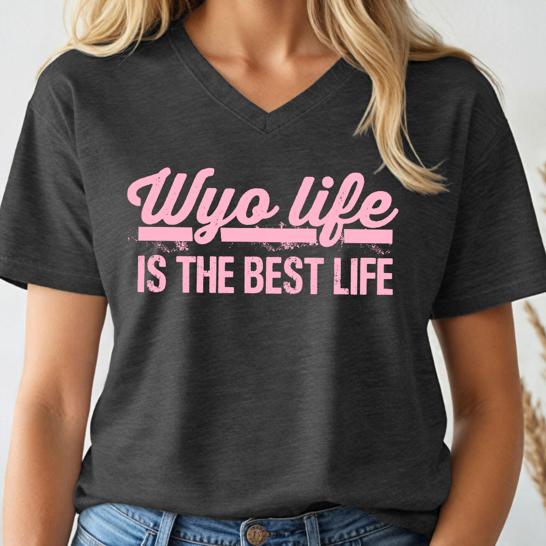 Dark Gray V Neck Wyo Life Triblend Bella Canvas Tee