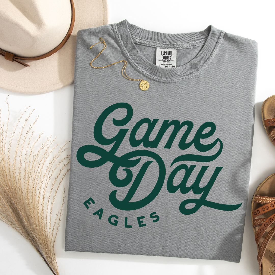 Gray LONG Sleeve Eagles Gameday Comfort Colors Tee