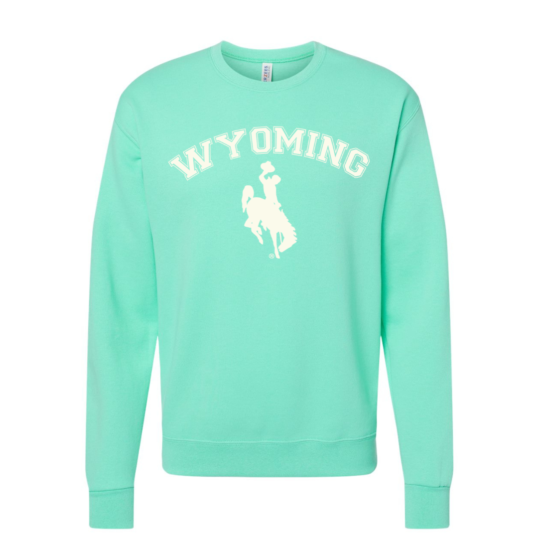 Cool MInt/Ivory Wyoming Steamboat Crewneck