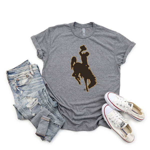 Heather Next Level Triblend Steamboat Tee