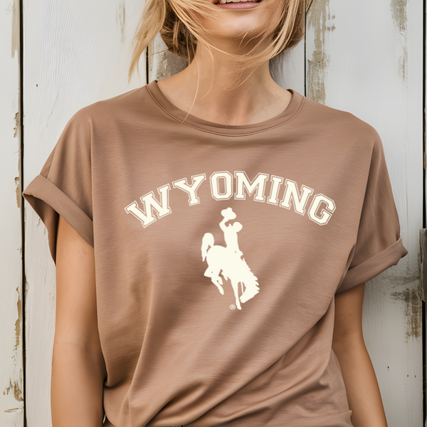 Vintage Brown/Ivory Bella Canvas Jersey CVC Blend Tee