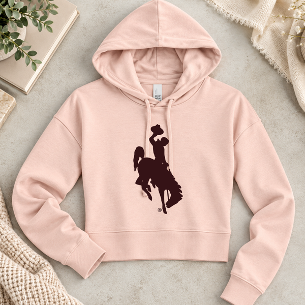 Modest Crop Rosewater Pink Hoodie /Brown Steamboat