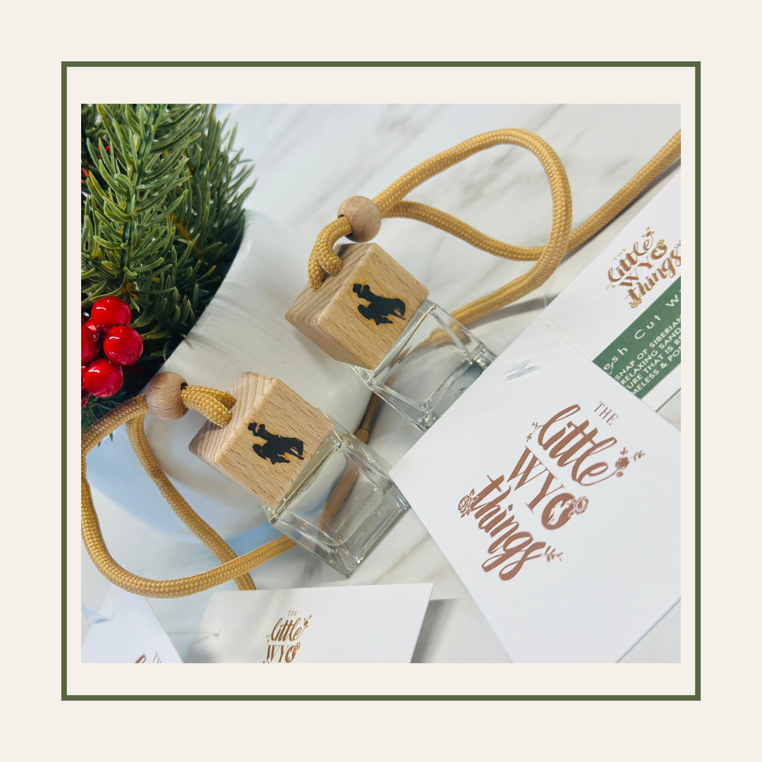 Little WYO Winter Car Diffuser