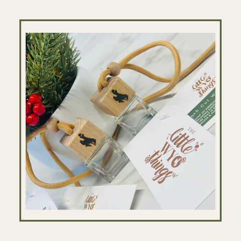 Little WYO Winter Car Diffuser