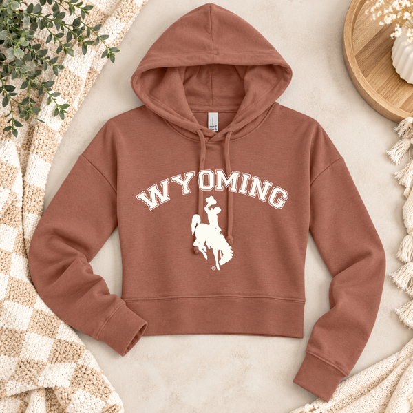 Modest Crop Desert Rose Hoodie/Ivory Steamboat Wyoming