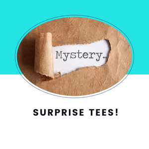 Tshirt Mystery Grab Bag Two Tees!