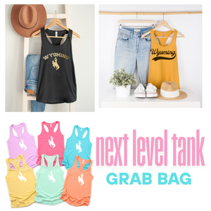 Grab Bag Next Level Tanks 2 Tanks!