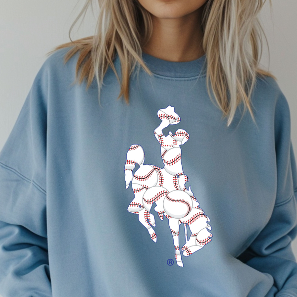 Steamboat BASEBALL Softstyle Crewneck
