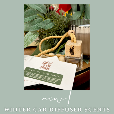 Little WYO Winter Car Diffuser